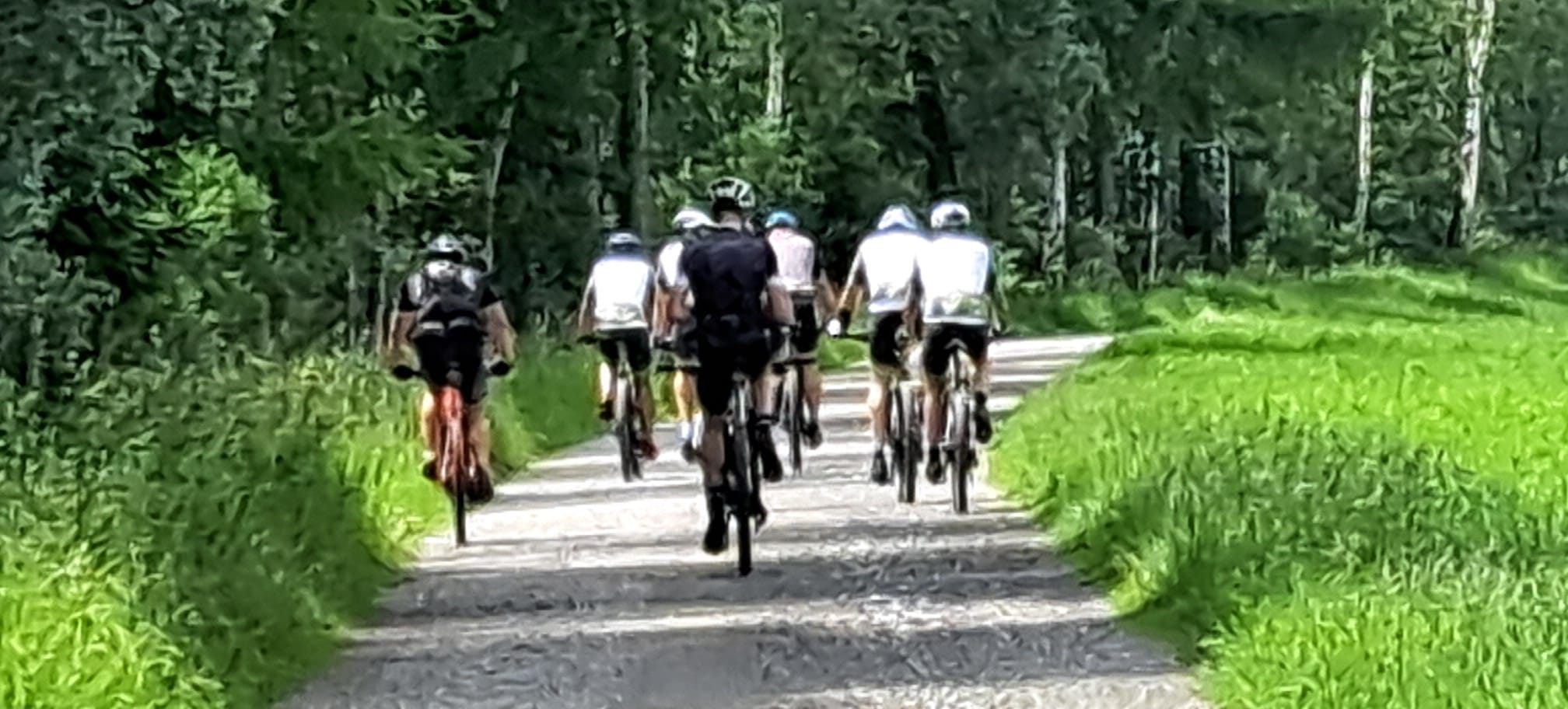 Skupina cyklistů SKK Čtyřkoly na lesní cestě